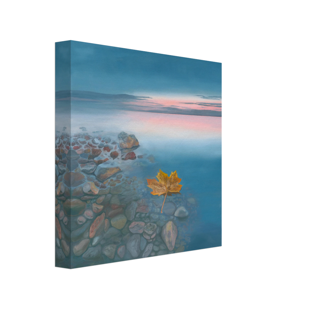 6f2e4caf-aec7-4d79-8bc7-c41161135412