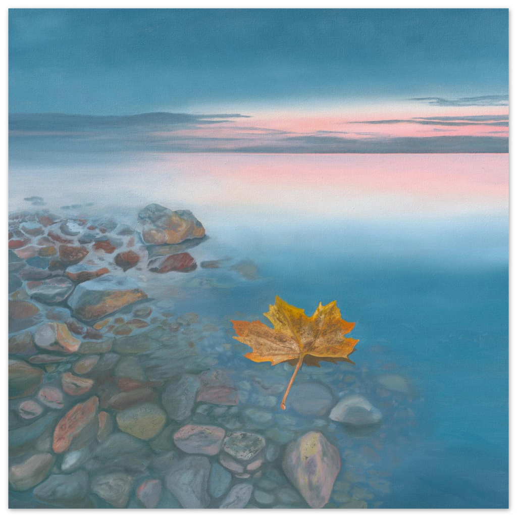 932c8ccf-06cc-47e0-afbf-40fc1fbba394