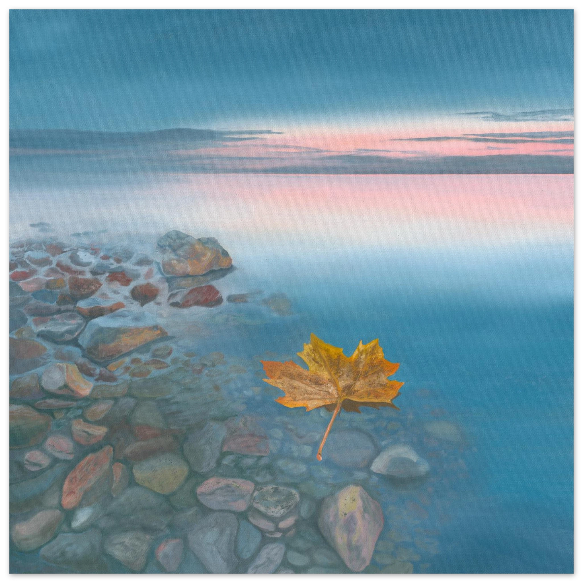 e07f90ce-530b-4adc-923b-200887e69119